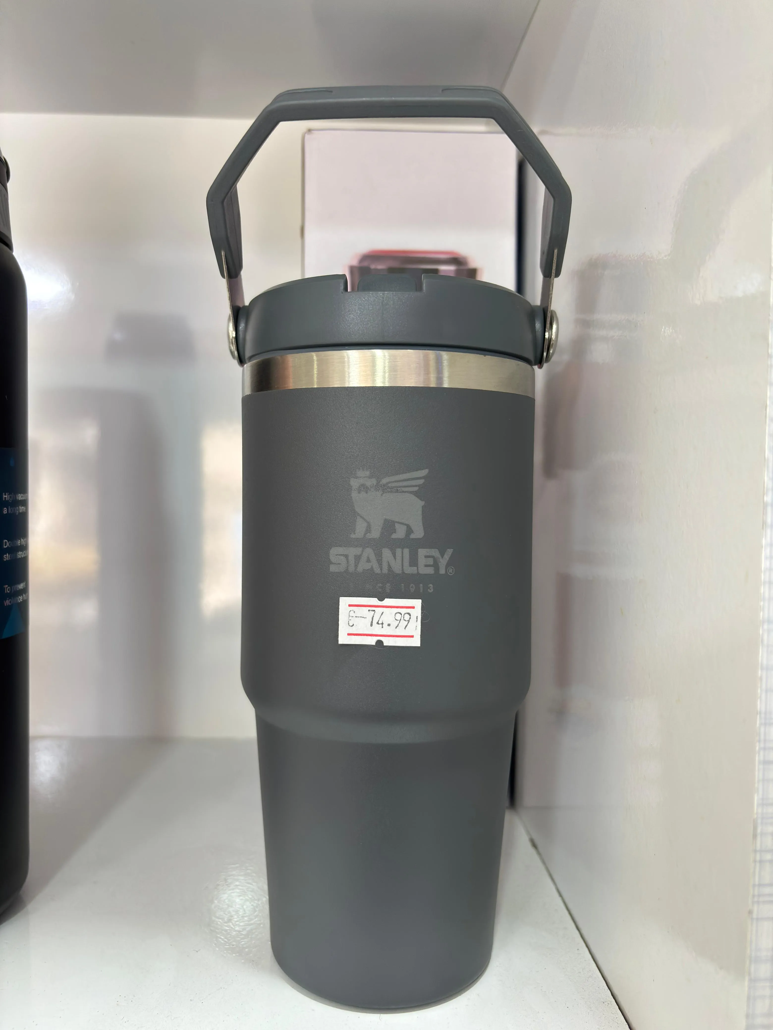 Garrafa térmica com alça 600ml